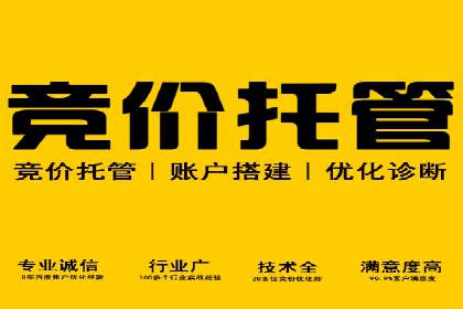 案例探讨：SEM关键词优化策略应用